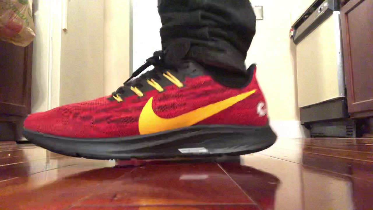 nike pegasus chiefs