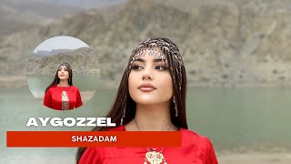 AYGOZEL Şazadam (Official video)