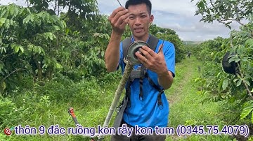 Máy cắt cỏ công xuất lớn husthai 553  tét thực tế cho bà con tham khảo