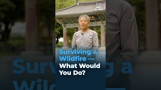 Surviving a Wildfire — What Would You Do? Volunteers Make Thanksgiving Possible For Ca Wildfire Evacuees