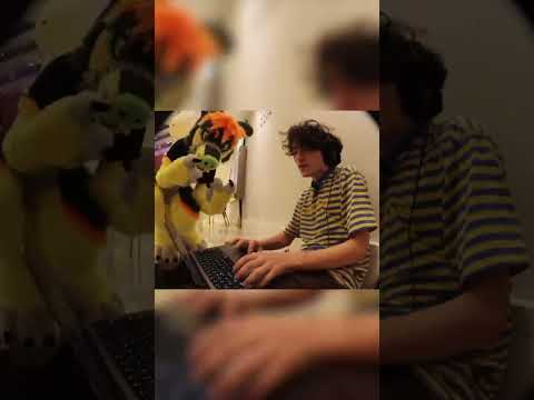 Do Furries Fw 2hollis 