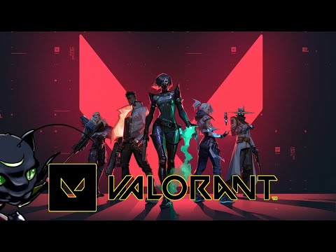 【VALORANT】隊長！　このゲーム弾当たりません!!【アンレート】