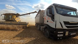 Weizen Ernte 52ha bei Barnstädt 2021 Agrardienste ROHLFING Liederstädt GmbH &amp; Gebrüder Kreipe 4k UHD