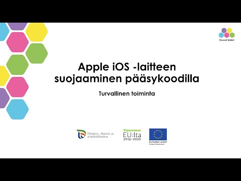 Video: Taustapeili Ja Näyttö: Laitteen Kuvaus