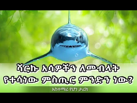 ቪዲዮ: አሣ ምንድን ነው?