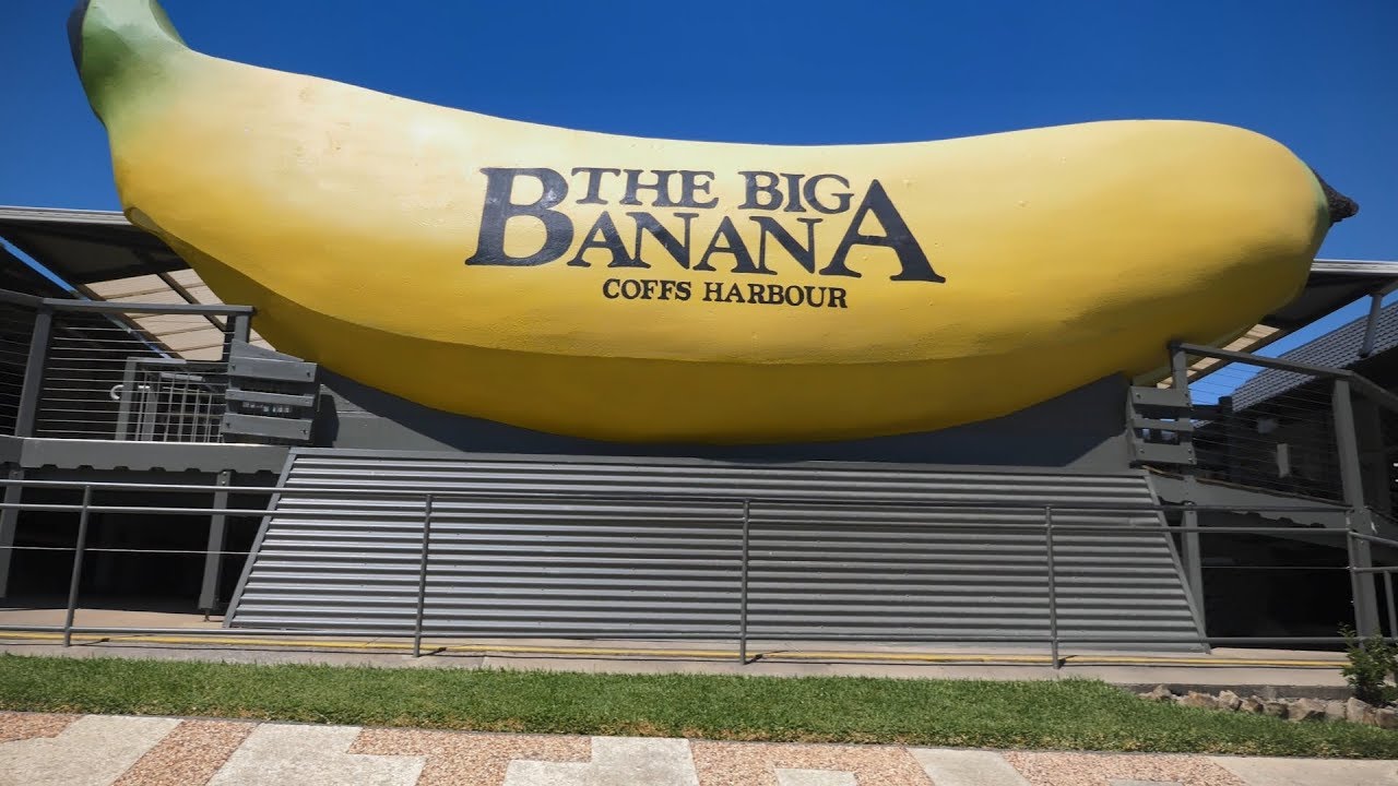 Включи big banana. Биг банана. Самый большой банан. Австралийский банан. Здание в виде банана.