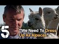 A New House Could Mean Pet Alpacas For The Radfords! | 22 Kids &amp; Counting | Channel 5