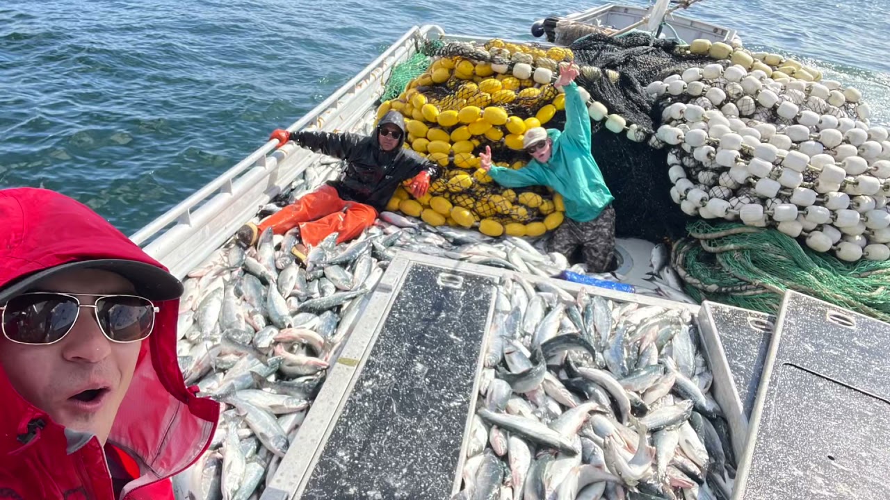 SALMON FISHING KODIAK AK