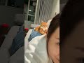 O Gatinho Escolheu um Lugar Inesperado para Dormir 🐱❤️