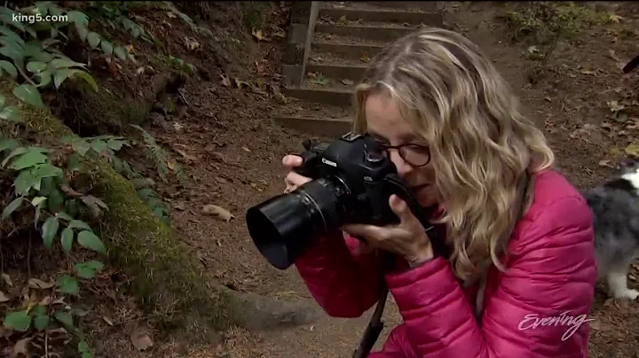 Seattle's Nancy LeVine shares tips on photographin...