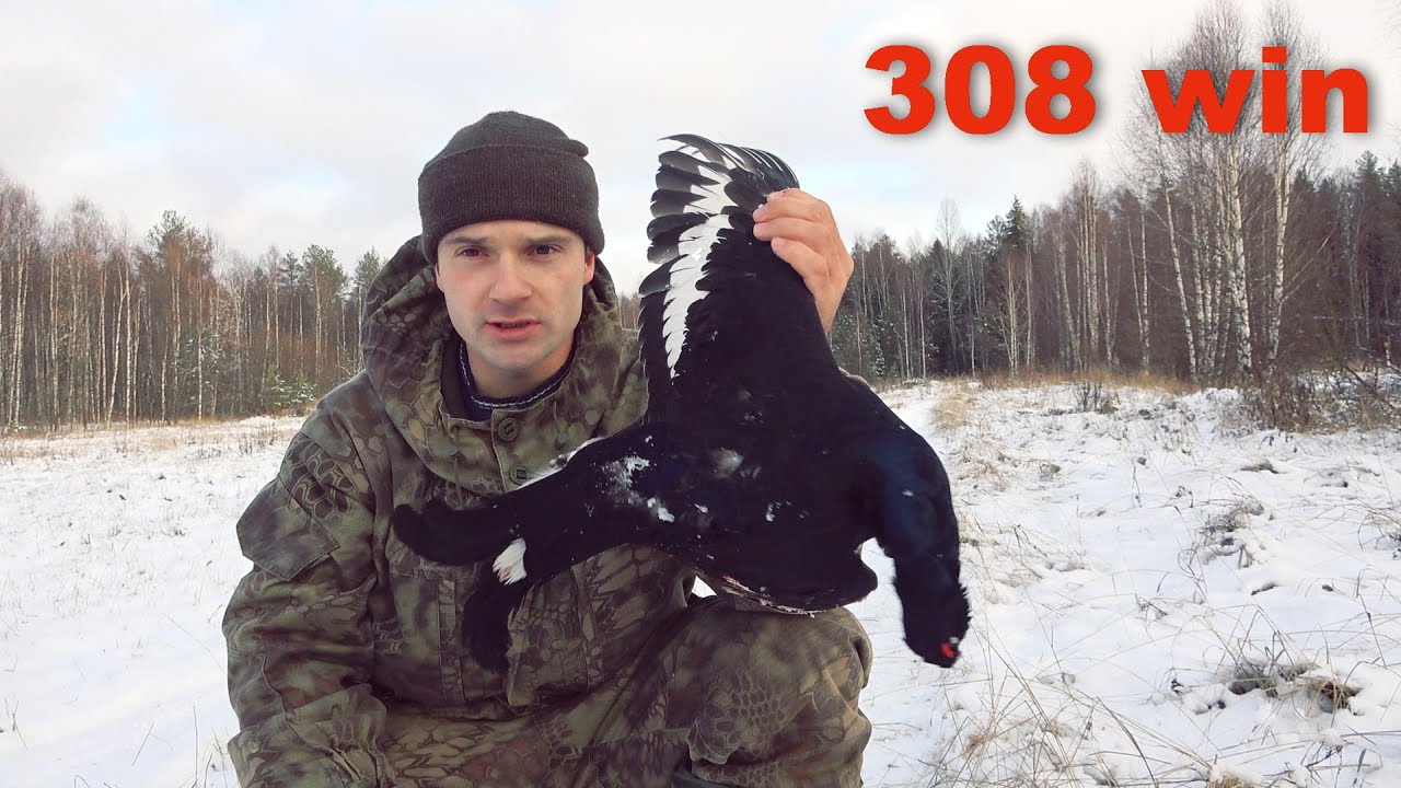 308 на охоте по птице