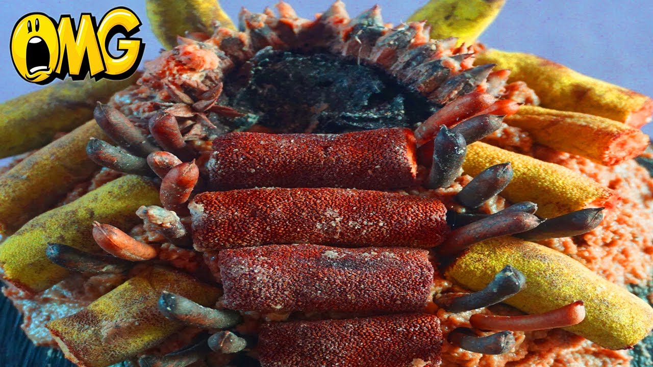 Wah Wah!! Dandruff Scratching And Relaxing Music (EP251) YouTube