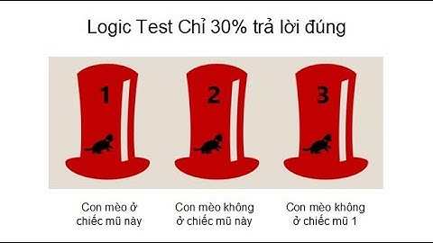 Logic Test - Con mèo ở trong chiếc mũ nào ? Chỉ duy nhất 1 phát biểu là đúng.