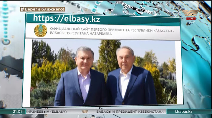 Нурсултан Назарбаев встретился с Президентом Узбекистана Шавкатом Мирзиёевым