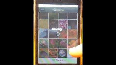 whited00r 4.x [OFFICIAL VIDEO]