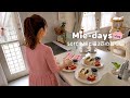 286. 50代主婦|長男夫婦と娘の彼と囲む手作りごはん、10数年ぶりの友人との再会。猫3匹との穏やかな日々