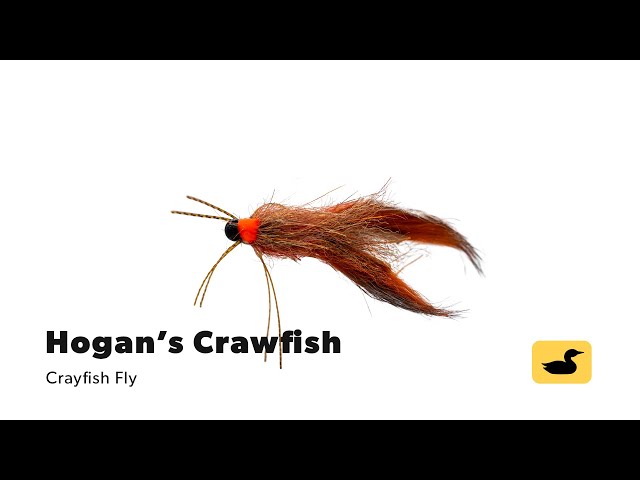 Fly Tying Tutorial: Hogan's Crawfish 