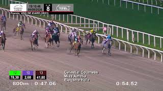 Vidéo de la course PMU PRIX VOO DE ICARO (2023)