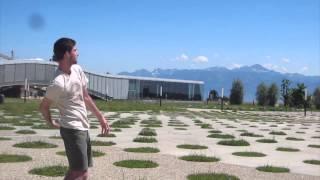 Juggling in Switzerland
A compilation video of me juggling and exploring in Switzerland. Juggling in Switzerland