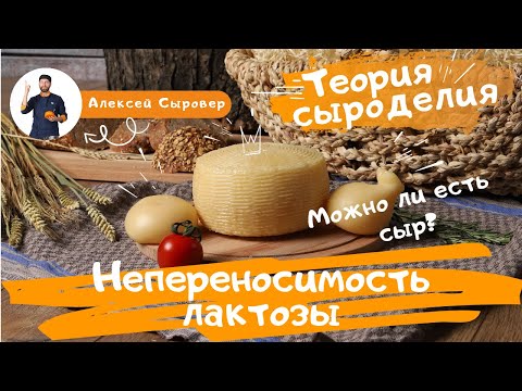 Видео: Содержит ли лактоферрин лактозу?