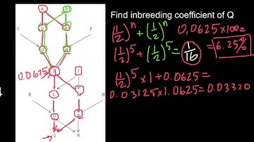 How to Solve Advanced Inbreeding Problems