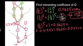 How to Solve Advanced Inbreeding Problems