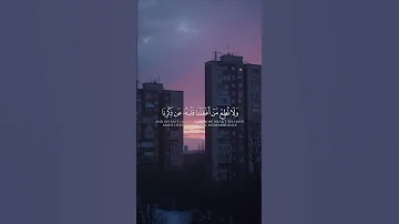 اية و لا ت ط ع م ن أ غف لنا ق لب ه ع ن ذ كر نا و ات ب ع ه واه و كان أ مر ه ف ر ط ا سورة الكهف 