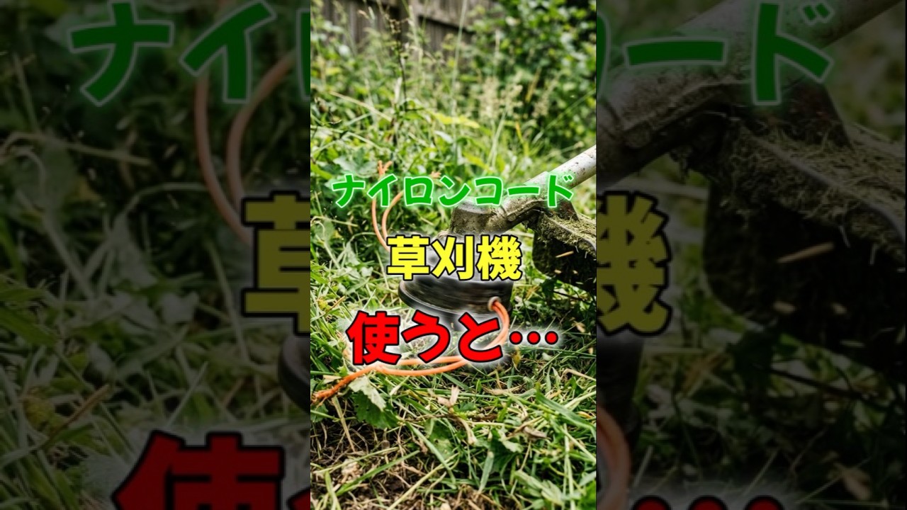 ナイロンコードで草刈機を使うと【雑草】
