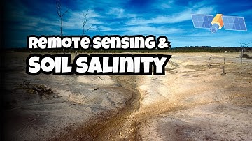 What is Soil Salinity & Role of Remote Sensing in its Management | Soil Salinity and Remote Sensing