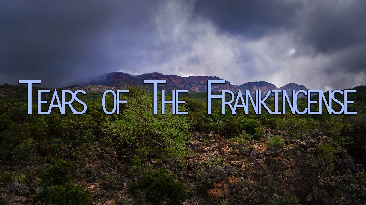 Tears of the Frankincense Forests