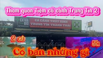 Tham quan tiệm cá cảnh Trung Tín 2(Thành Thái) có những gì