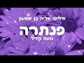 פנתרה נועה קירל פנתרה נועה קירל