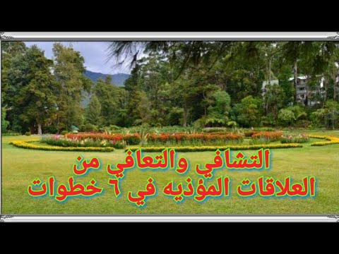 كيفيه التشافي و التعافي من العلاقات المؤذيه في ٦ محاور