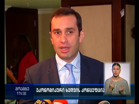 „თავისუფალმა დემოკრატებმა“ ქვეყნის ეკონომიკური განვითარების ხედვა წარმოადგინეს