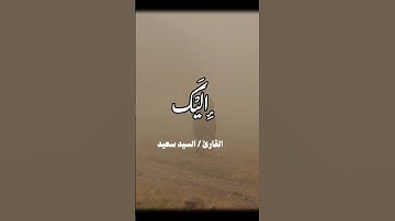 #قرآن #تلاوة #الشيخ_سيد_سعيد #سورة_المائدة #تلاوة_خاشعة #قرآن_كريم #تدبر #تلاوات_نادرة #اسلاميات #