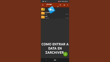 COMO ENTRAR A DATA EN ZARCHIVER