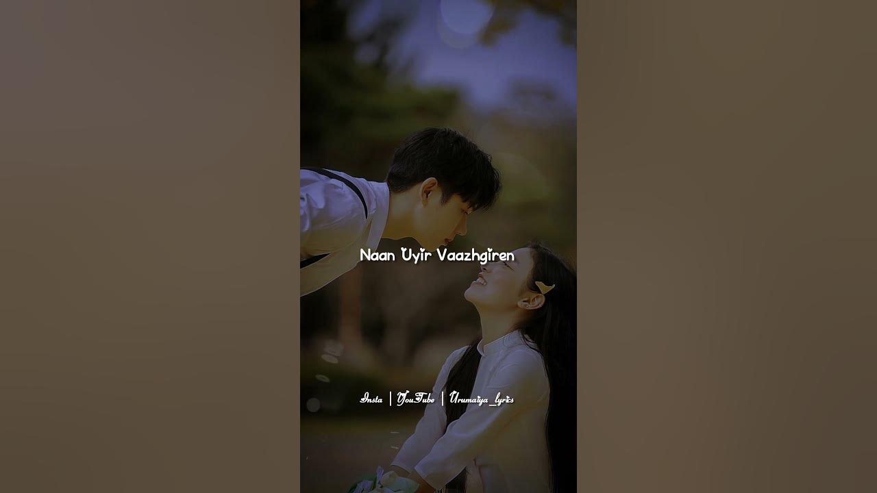 Neethanada 💞 whatsapp status video song 🎧 love status tamil 💞 lyrics status video tamil