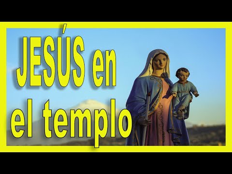 ✅ FIESTA de la PRESENTACIÓN de JESÚS en el Templo de Salomón |ᐅ Evangelio del dia 2 de Febrero