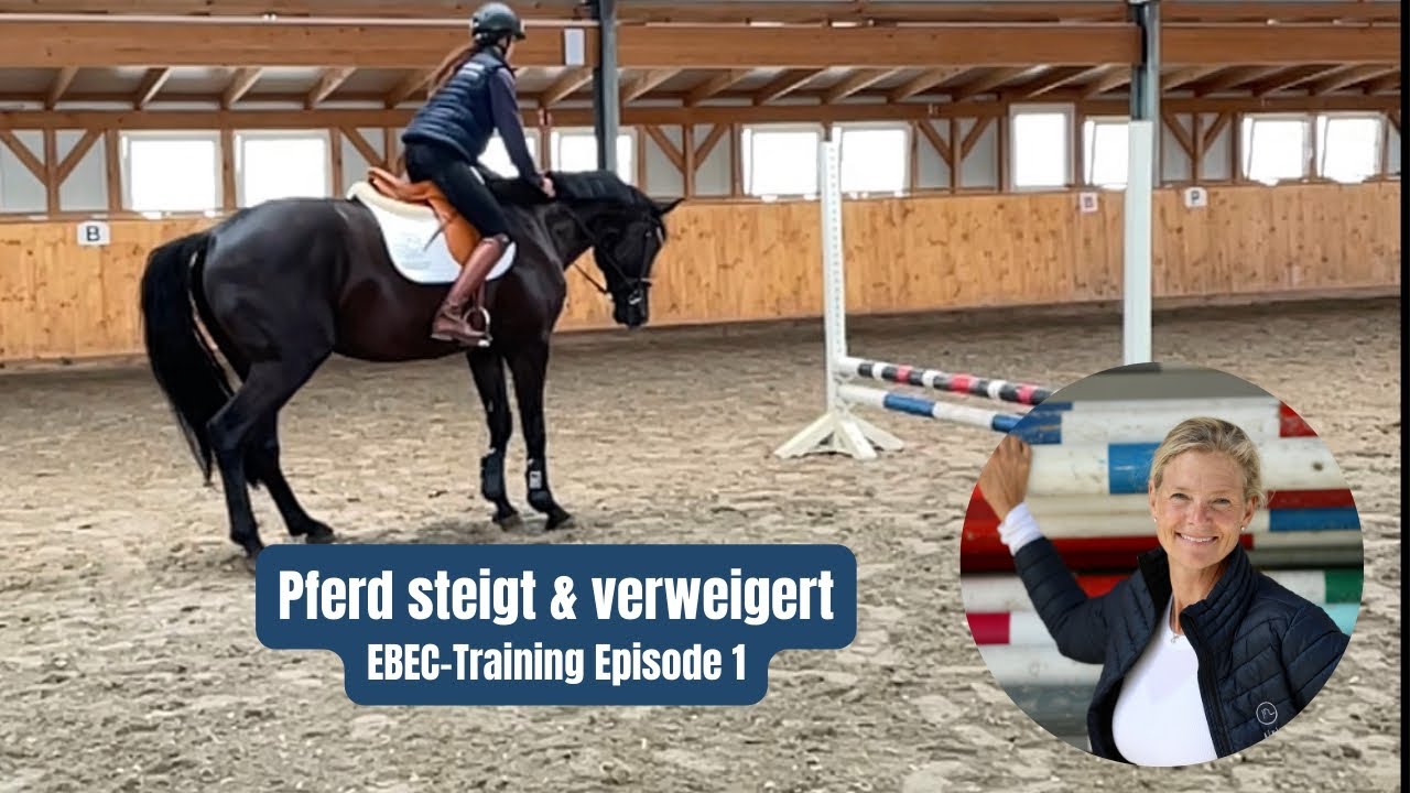 Vom Problempferd zum Sportpferd (Teil 1 von 4) | Pferd steigt & verweigert | EBEC®-Training