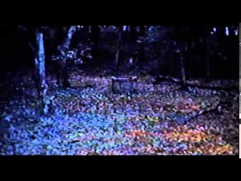 ringu clip