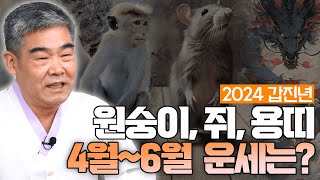 [대성TV] 2024년 갑진년 원숭이띠, 쥐띠, 용띠의 4월부터 6월까지의 운세 확인하기【경기광주 용한 무당…