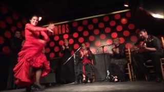 Amazing Flamenco Show in Los Tarantos Barcelona Amazing Flamenco Show in Los Tarantos Barcelona