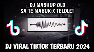 DJ SA TE MABUK X TELOLET ((Slowed & Reverb)🎧