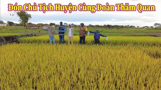 Linh Philip || Đón Chủ Tịch Huyện Cùng Đoàn Tháp Tùng  Tới Thăm Quan Lúa Nước Việt Nam !!!