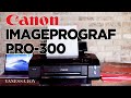 NEW Canon imagePROGRAF PRO-300 Photo Printer OFFICIAL Video