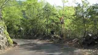 林道・サンギリ線(20130427)