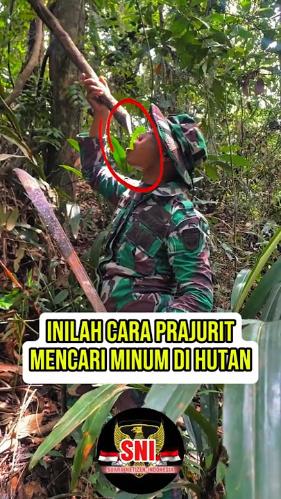 This is How Soldiers Drink When They Are in the Forest #shortvideo #tni #tnidihatirakyat