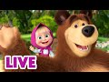 🔴 LIVE STREAM 🎬 Masha and the Bear 👱‍🐼 Hello there! 🐯👱‍♀️