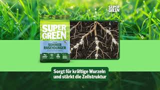SUPERGREEN Sommer-Rasendünger ✓ Ideal für heiße Tage ✓ Schutz vor Trockenstress & Hitzeschäden