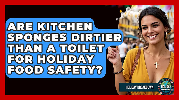 Are Kitchen Sponges Dirtier Than A Toilet For Holiday Food Safety? - Holiday Breakdown